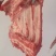 多肉前排