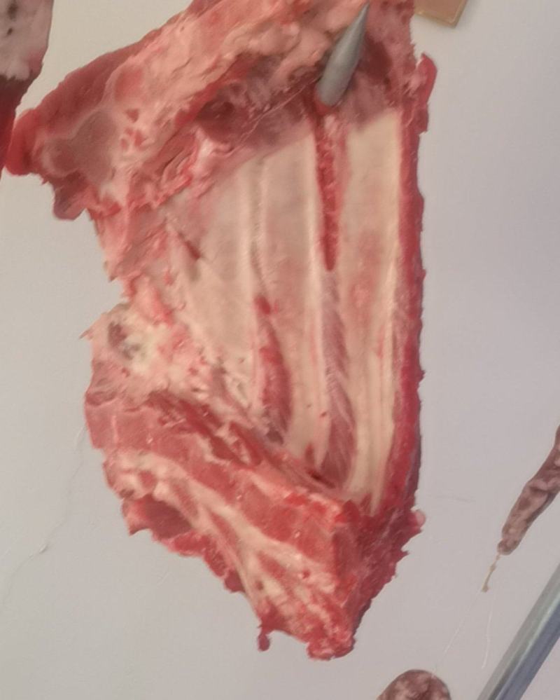 多肉前排