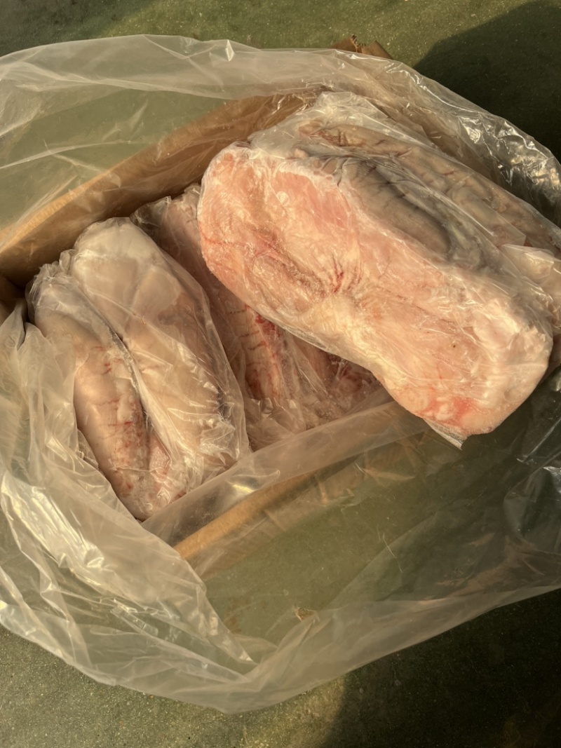 纯干母猪白面大肚
