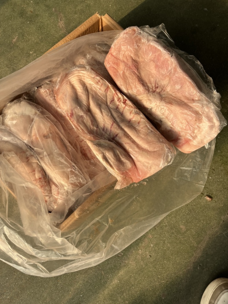 纯干母猪白面大肚