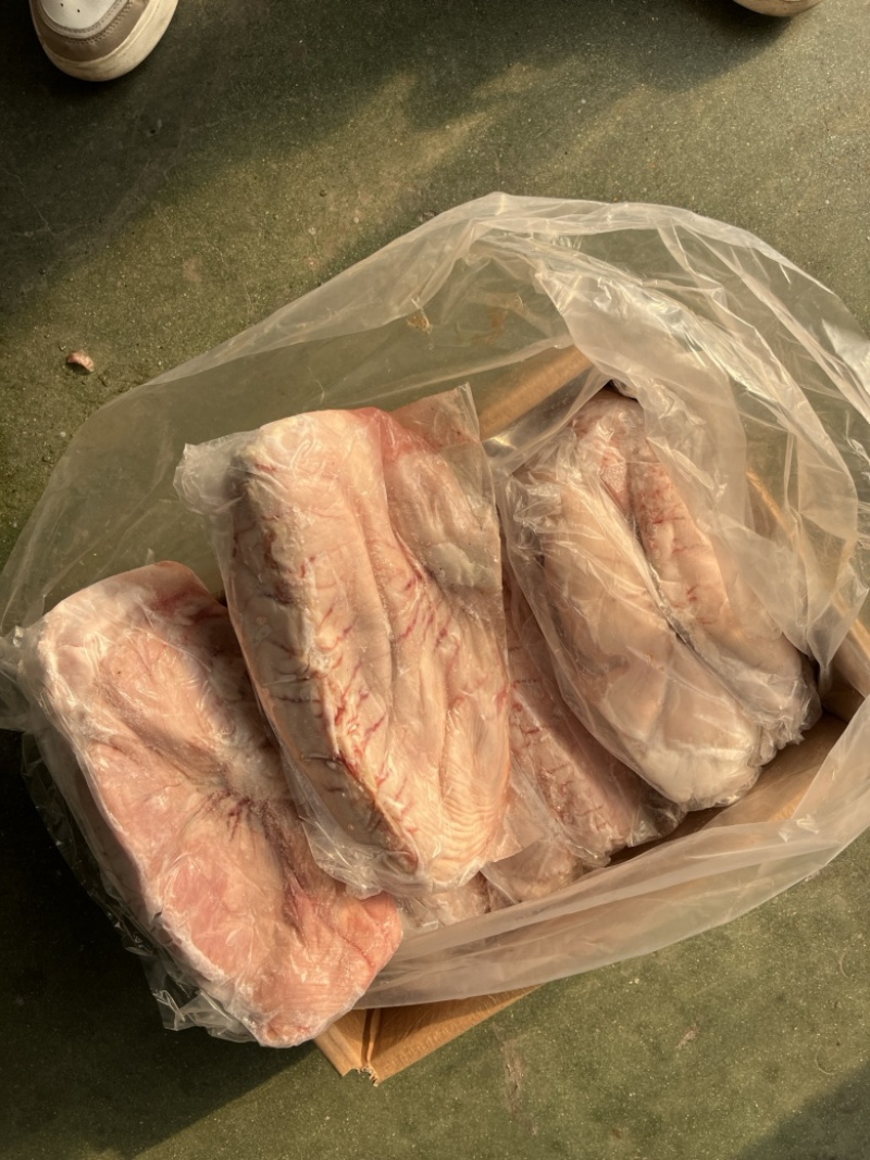 纯干母猪白面大肚