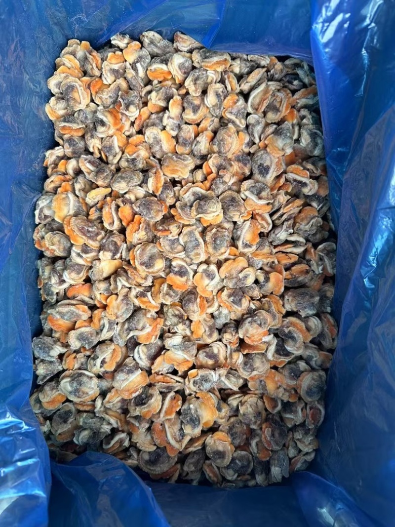 纯干无冰毛蚶肉赤贝肉红贝毛蛤肉商用海鲜贝类批发螺肉