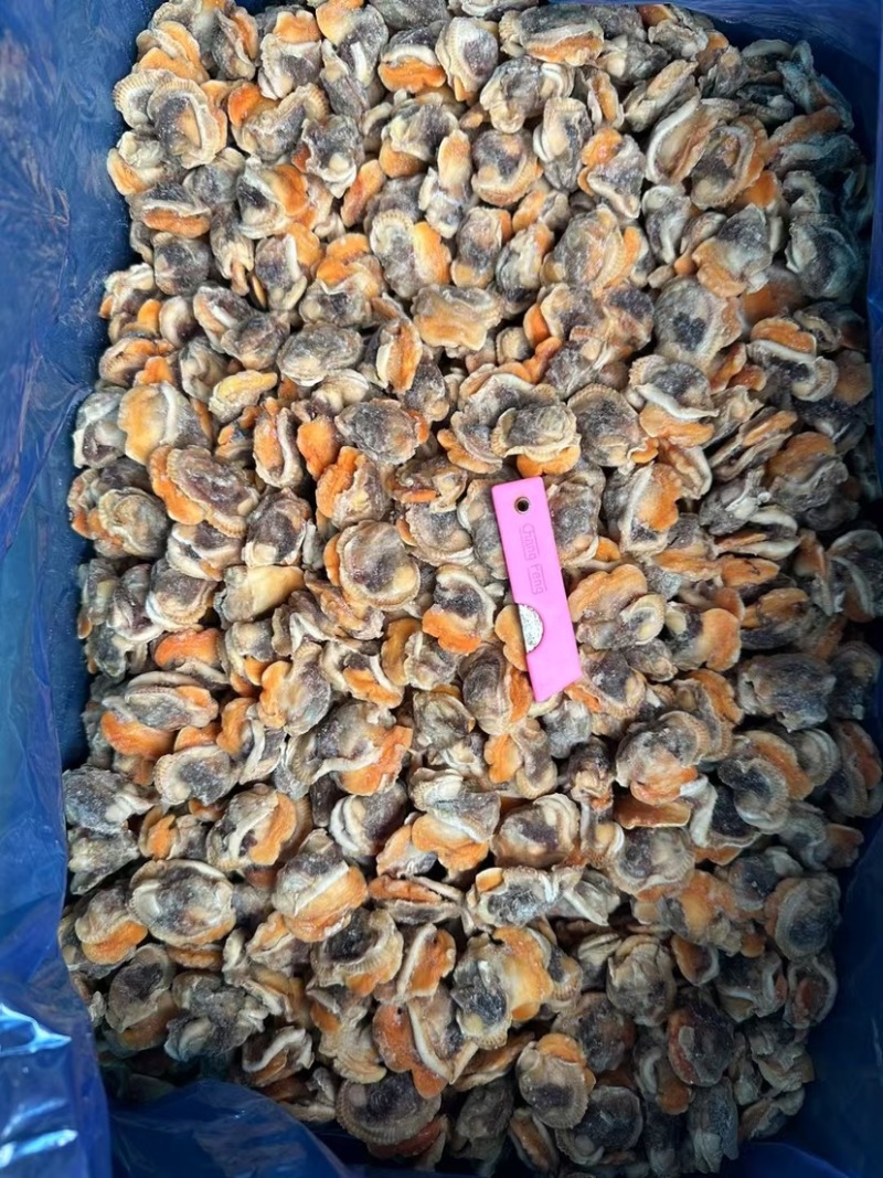 纯干无冰毛蚶肉赤贝肉红贝毛蛤肉商用海鲜贝类批发螺肉