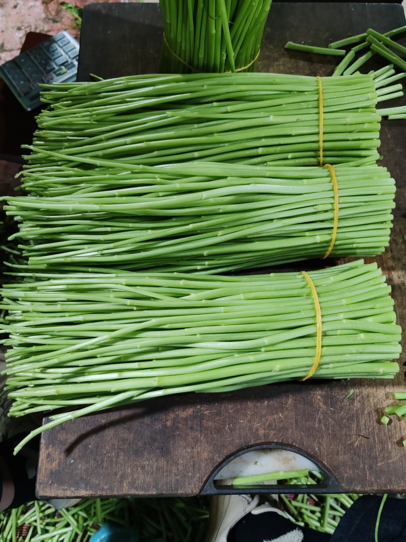 云南袋装芦蒿藜蒿