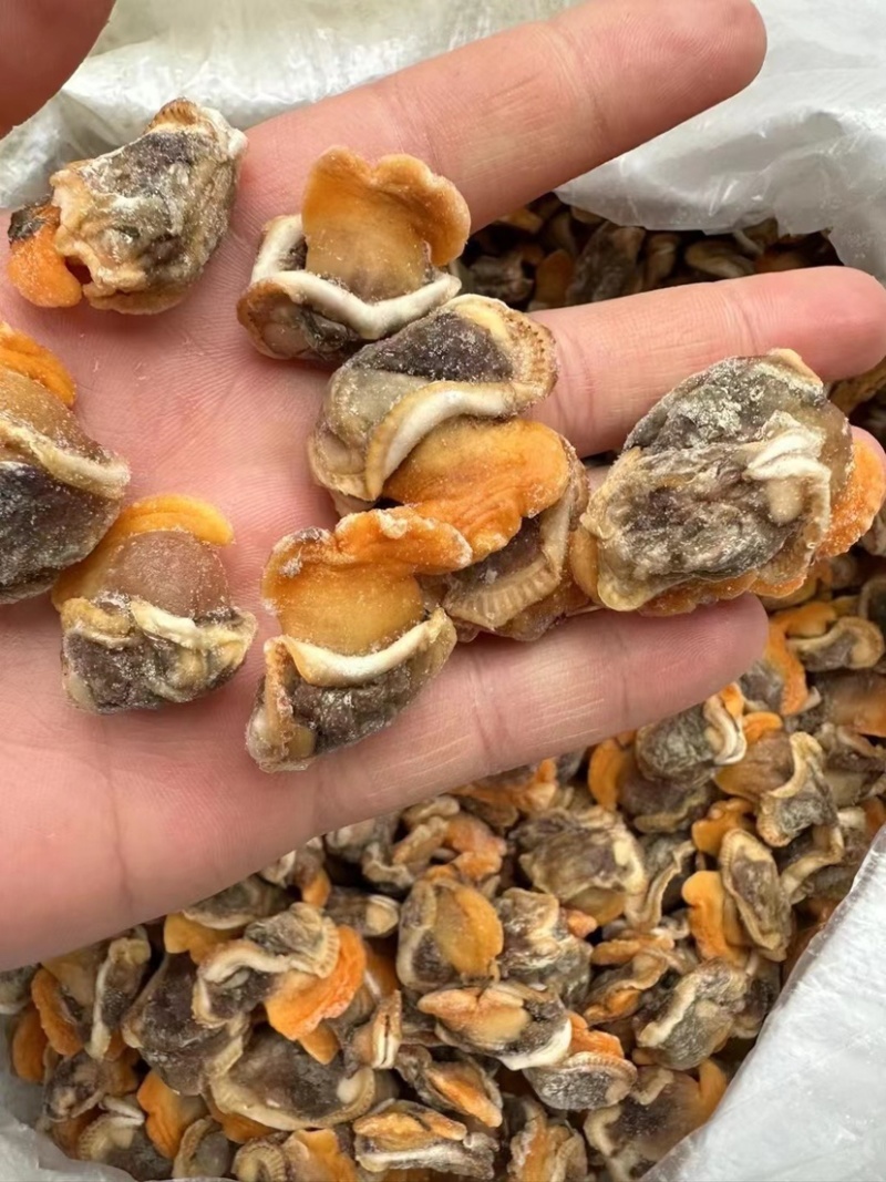 纯干无冰毛蚶肉赤贝肉红贝毛蛤肉商用海鲜贝类批发螺肉