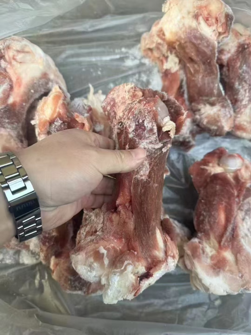 猪后筒骨