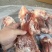 猪后筒骨