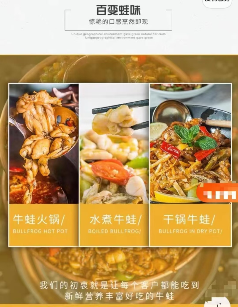 免桨牛蛙