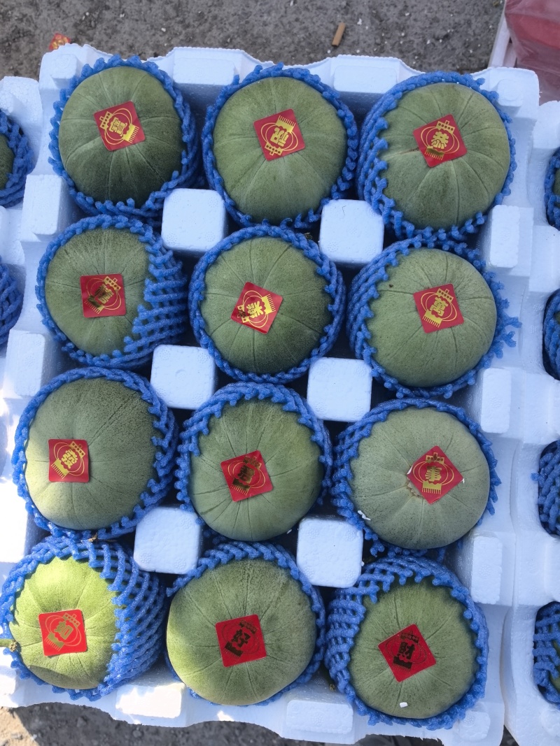 绿宝甜瓜绿宝石颜色翠绿瓜形圆润货量大全国接单甜度高耐运输