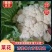 汉中白花菜花2~3斤紧花乳白，现货，产地一手货源