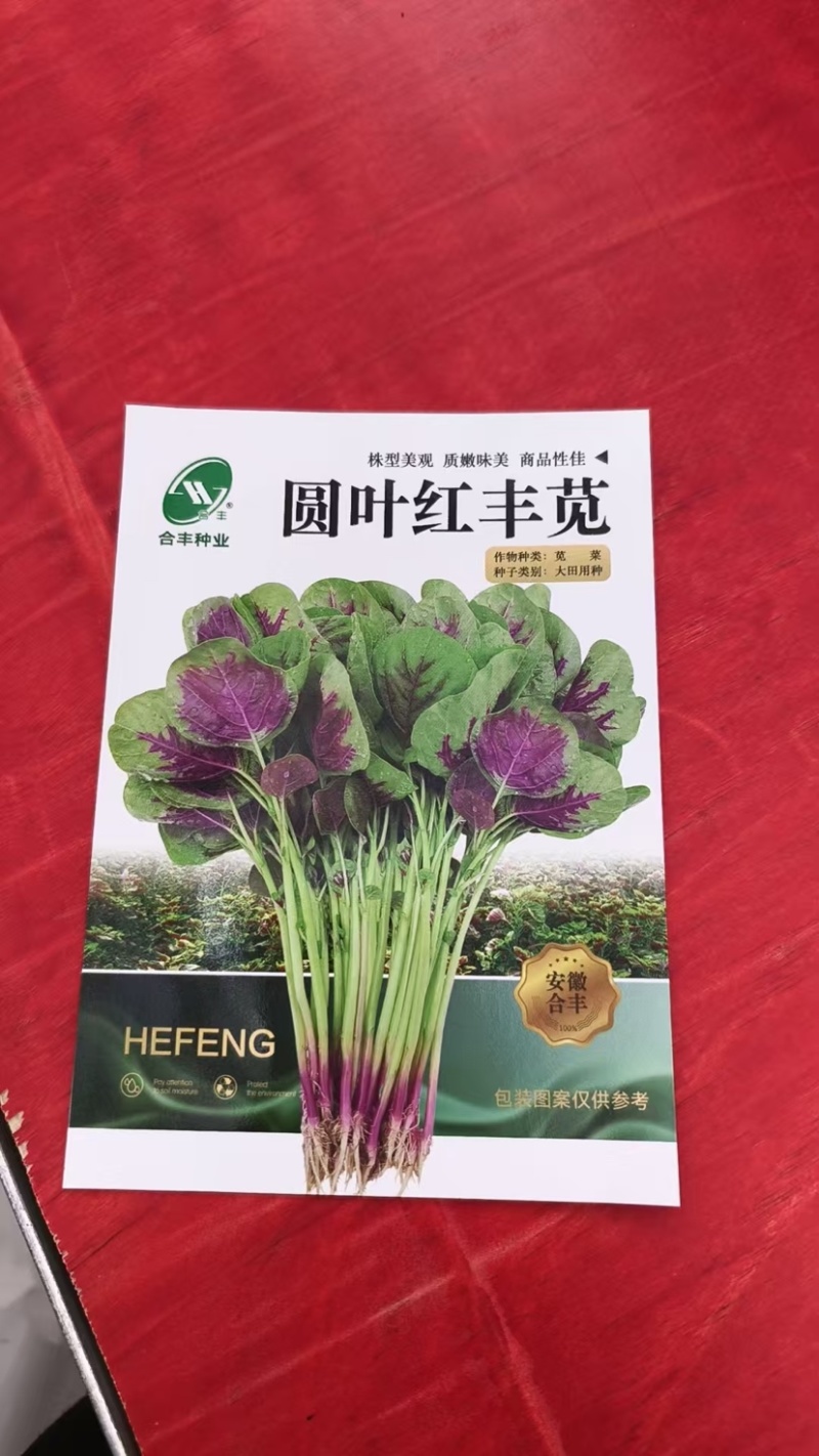 棚植红冠苋-苋菜种子棚植早熟高产软糯清甜耐抽薹