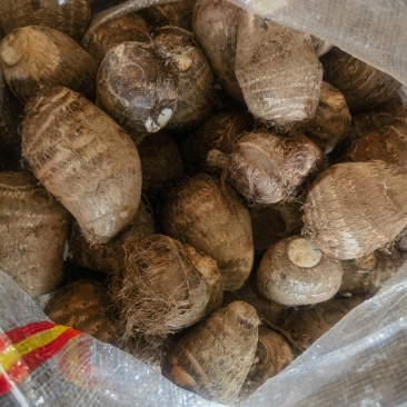 临沂芋头产地一手货源，货源充足现挖现发包装齐全