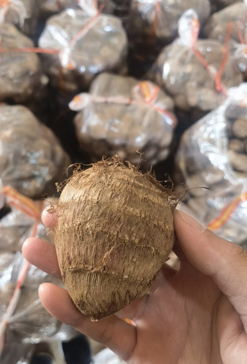 临沂芋头产地一手货源，货源充足现挖现发包装齐全