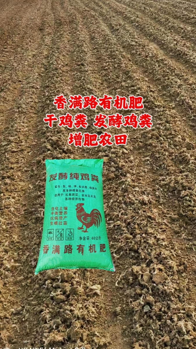 烟台发酵鸡粪,栖霞鸡粪,青岛鸡粪有机肥,菏泽稻壳鸡粪