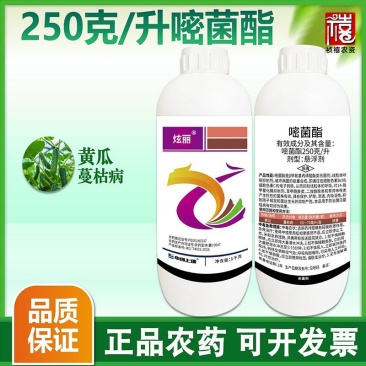 炫丽250克/升嘧菌酯悬浮剂农药黄瓜蔓枯病