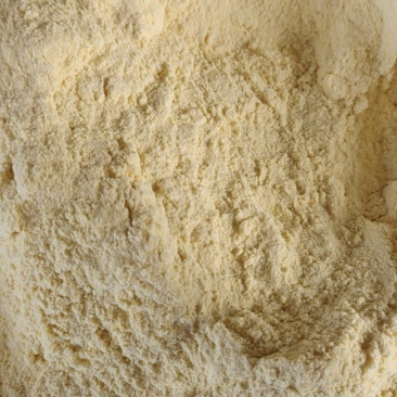 常年出售玉米面玉米次粉碎玉米厂家直销量大从优