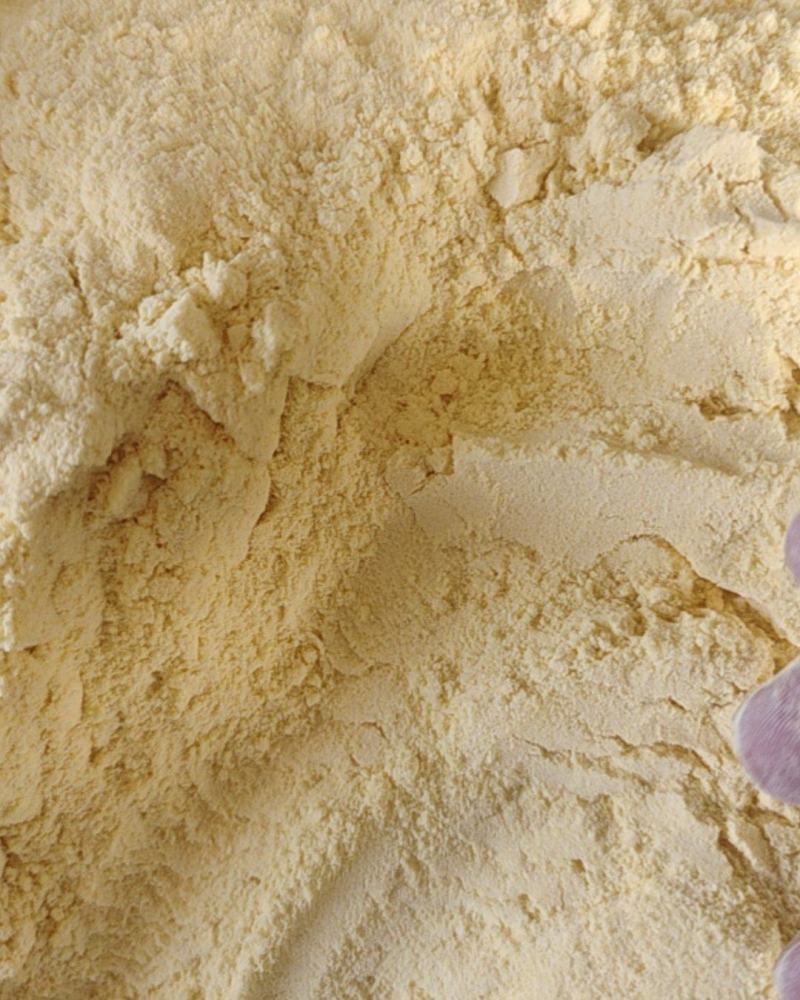 常年出售玉米面玉米次粉碎玉米厂家直销量大从优