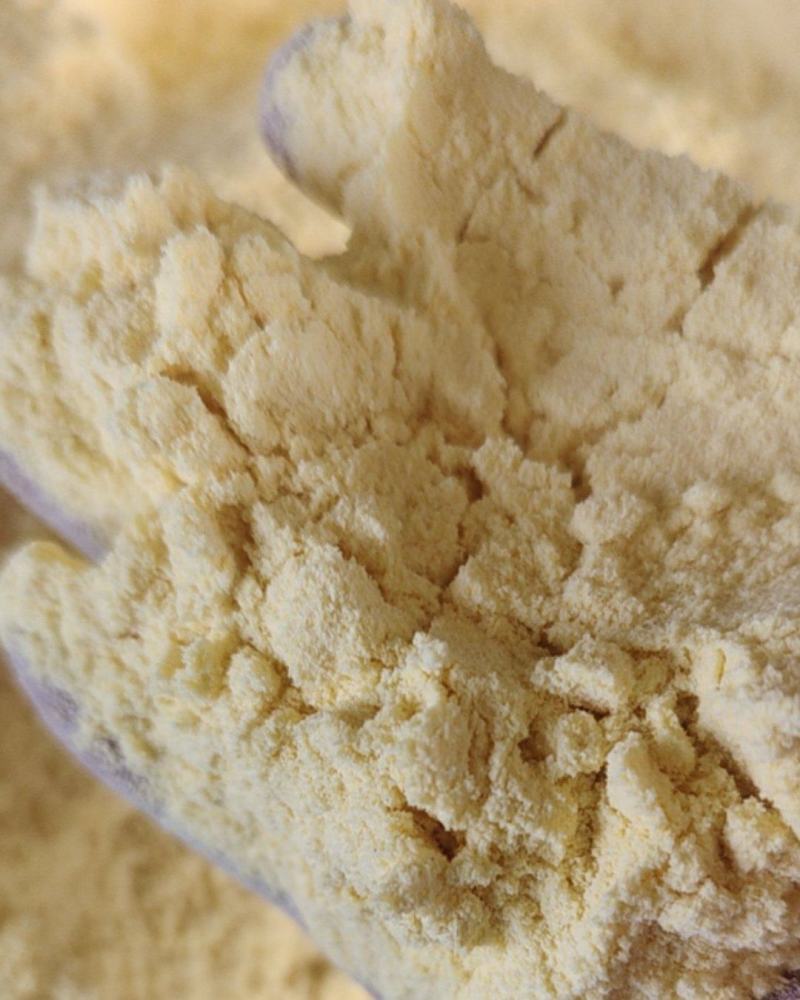 常年出售玉米面玉米次粉碎玉米厂家直销量大从优