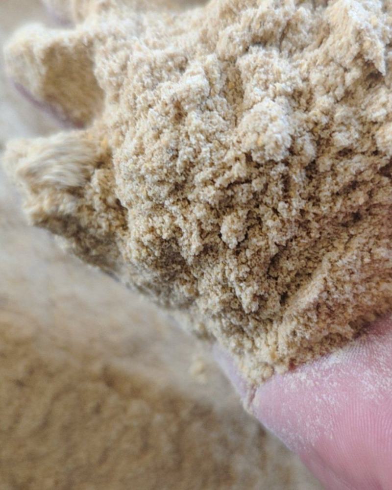 常年出售玉米面玉米次粉碎玉米厂家直销量大从优