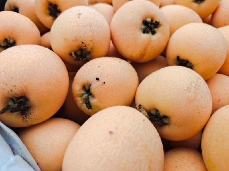四川本地特色农产品