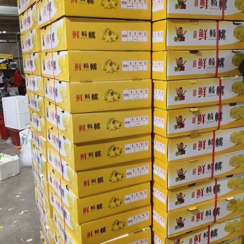 红龙杨桃礼盒装