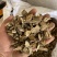 白术大颗粒4到20号高含量