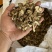 白术大颗粒4到20号高含量