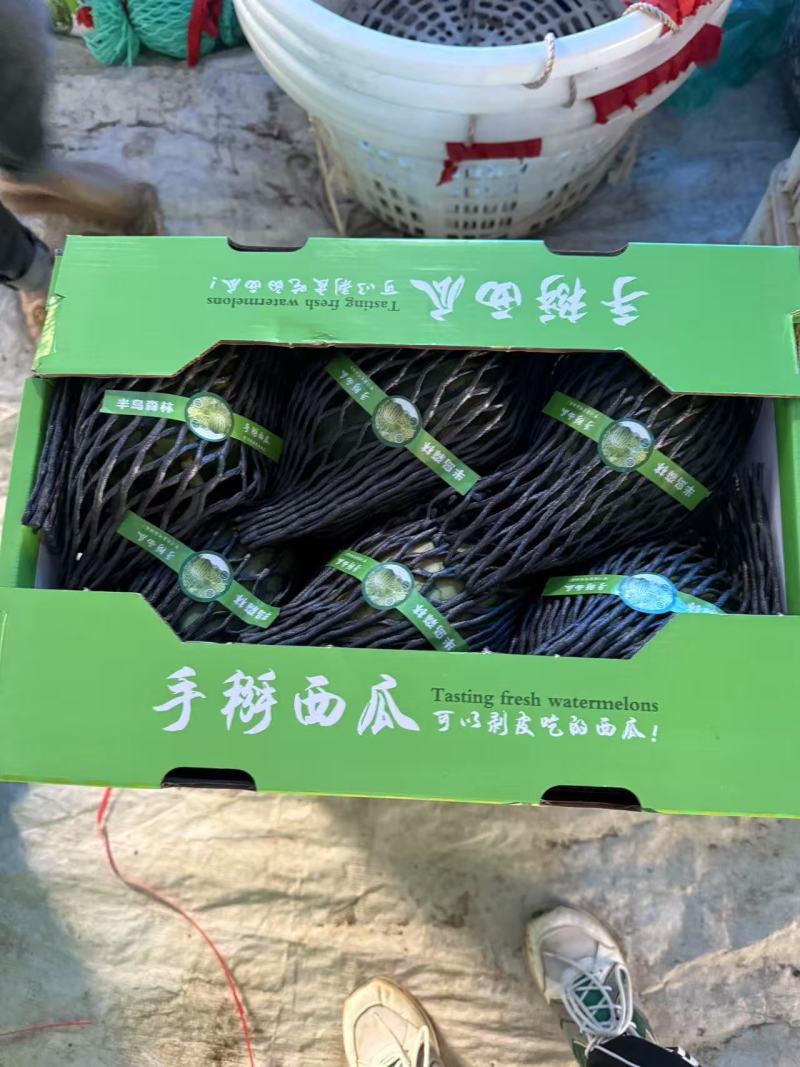 广东湛江西瓜甘美4k基地一手货源全国发货按需包装