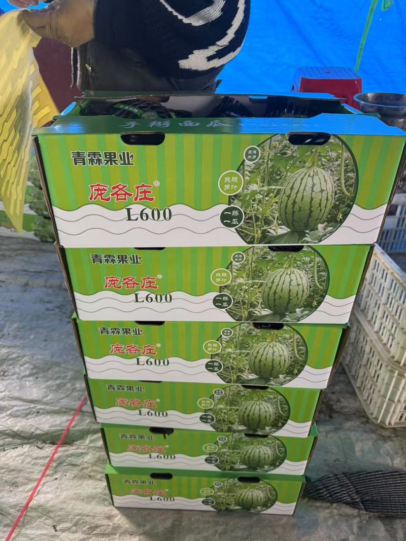 广东湛江西瓜甘美4k基地一手货源全国发货按需包装