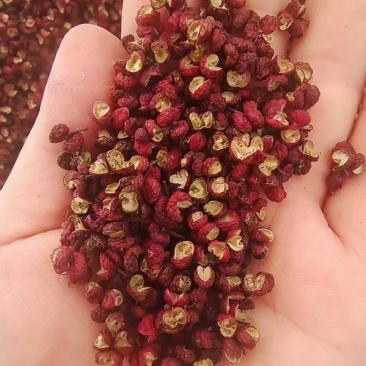 正宗的汉源青花椒，红花椒，手工花椒油，自产自销