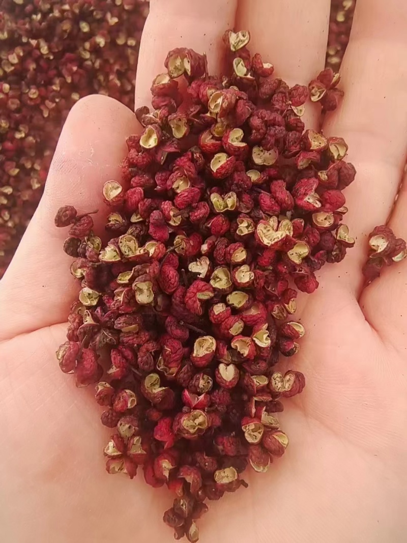 正宗的汉源青花椒，红花椒，手工花椒油，自产自销
