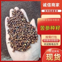 出售陕西商洛本地苦参种籽，纯新货，干净无杂质