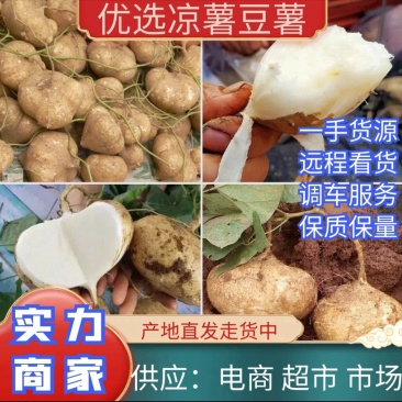 广东凉薯地瓜豆薯货源充足质量保证