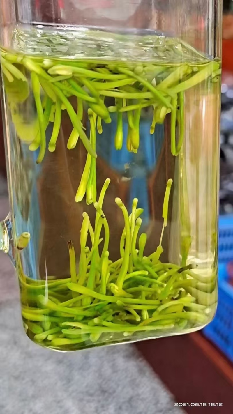 金银花茶