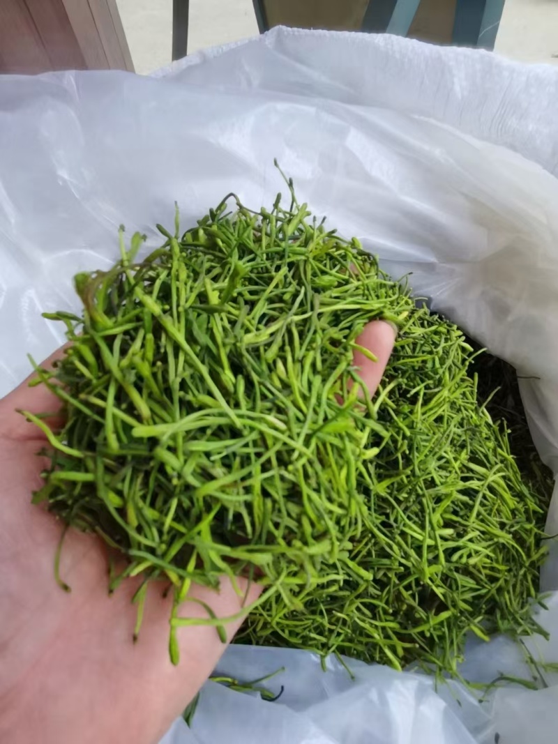 金银花茶