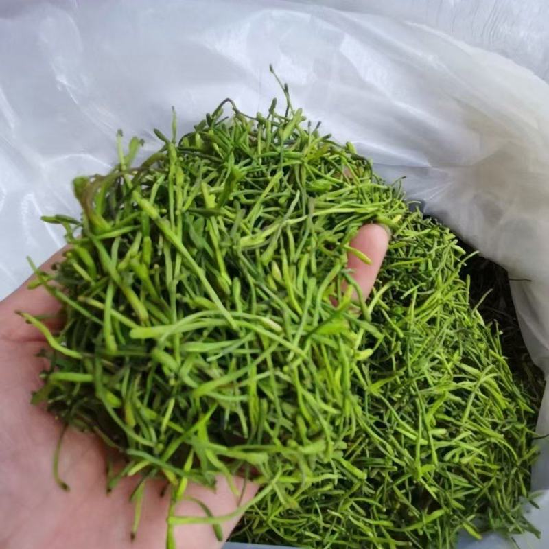 金银花茶