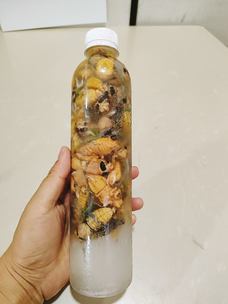 优选白蝉万亩基地一手货源全国可发支持视频看货
