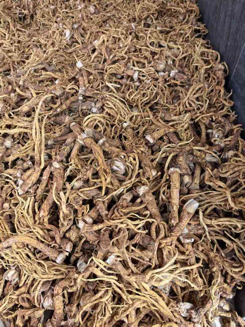 秦艽干货产地直供大量有货，质量保证价格合理，欢迎咨询