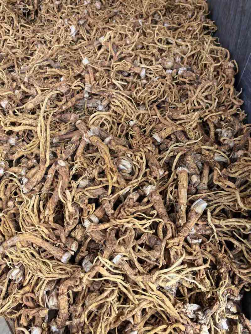 秦艽干货产地直供大量有货，质量保证价格合理，欢迎咨询