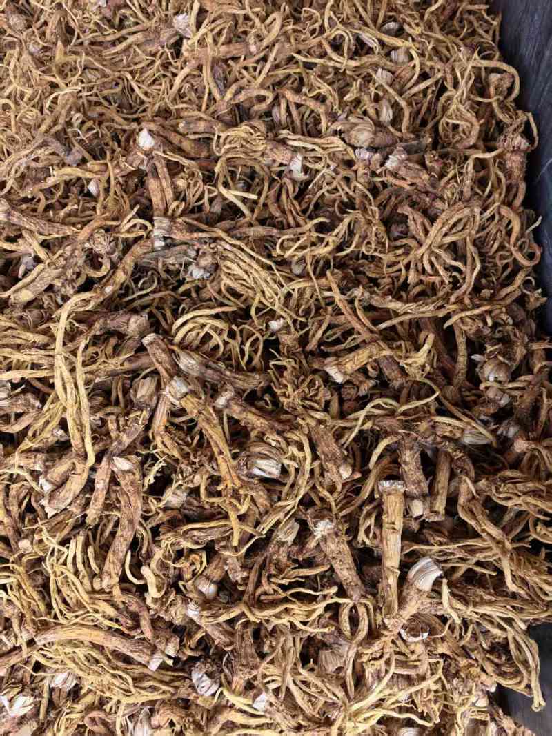 秦艽干货产地直供大量有货，质量保证价格合理，欢迎咨询