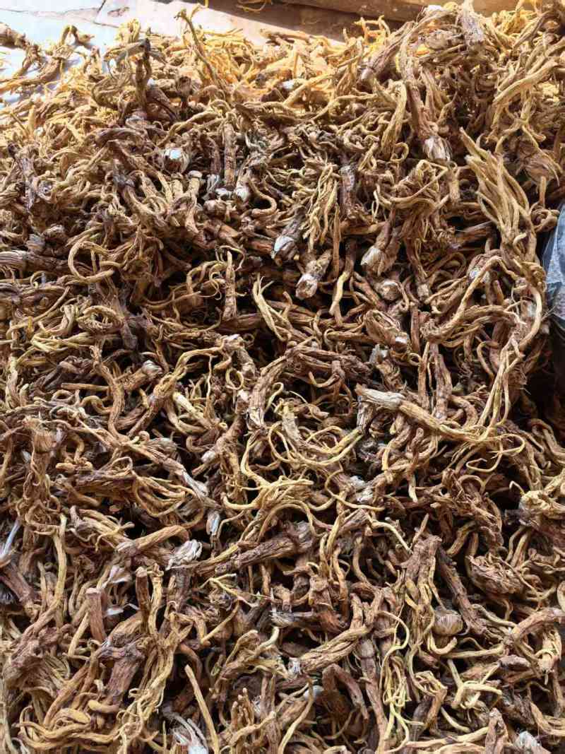 秦艽干货产地直供大量有货，质量保证价格合理，欢迎咨询