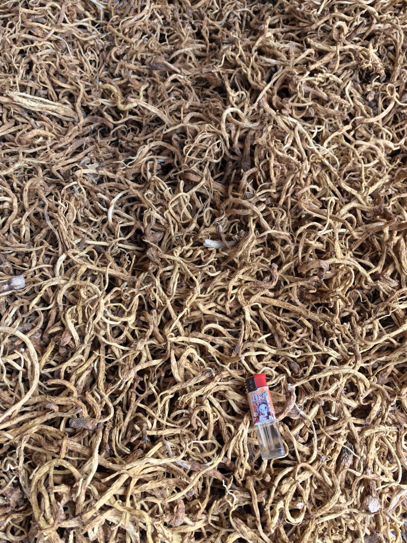 秦艽干货产地直供大量有货，质量保证价格合理，欢迎咨询