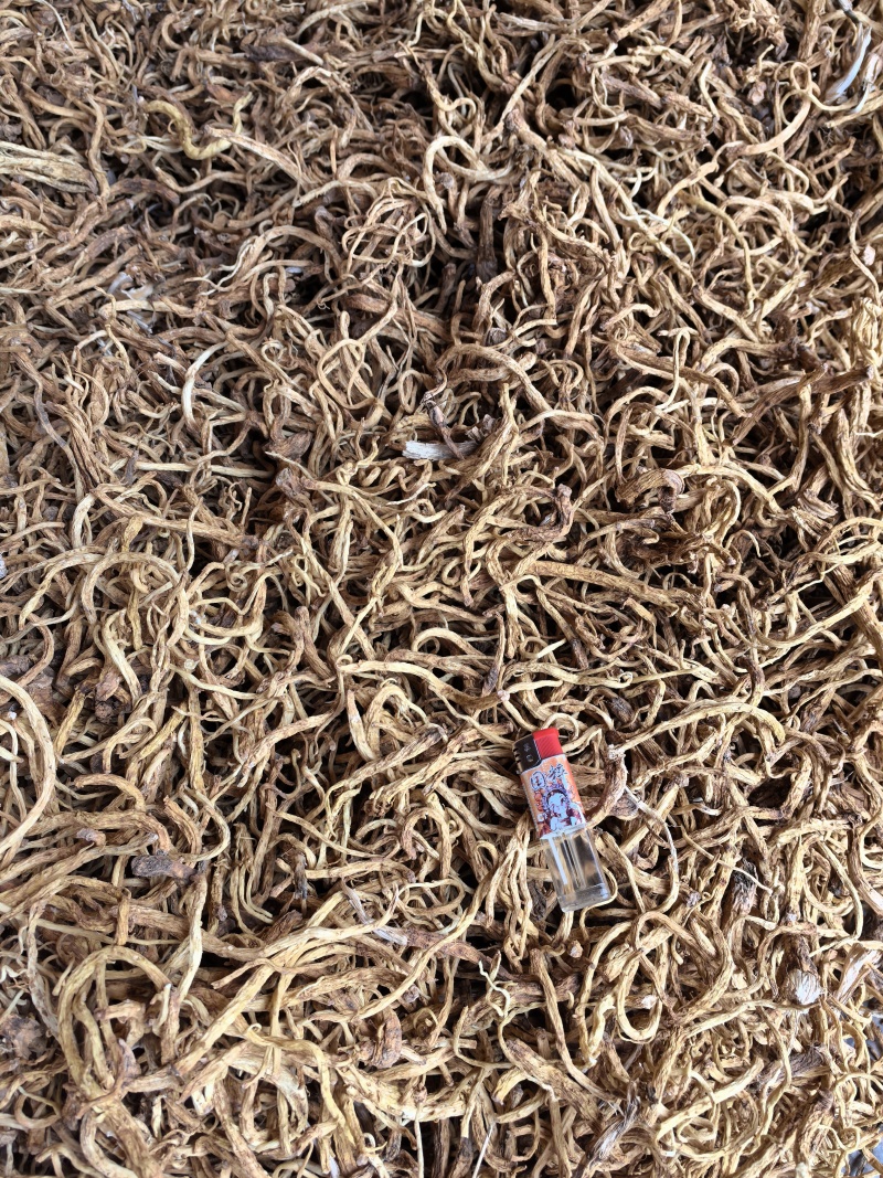 秦艽干货产地直供大量有货，质量保证价格合理，欢迎咨询