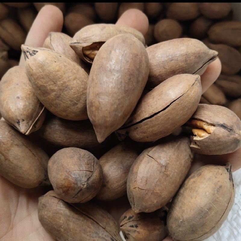 碧根果坚果大量有货诚信经营，厂家直供