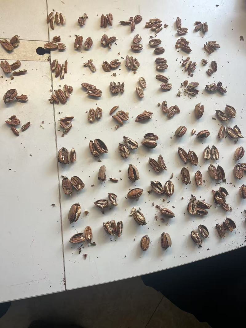 碧根果坚果大量有货诚信经营，厂家直供