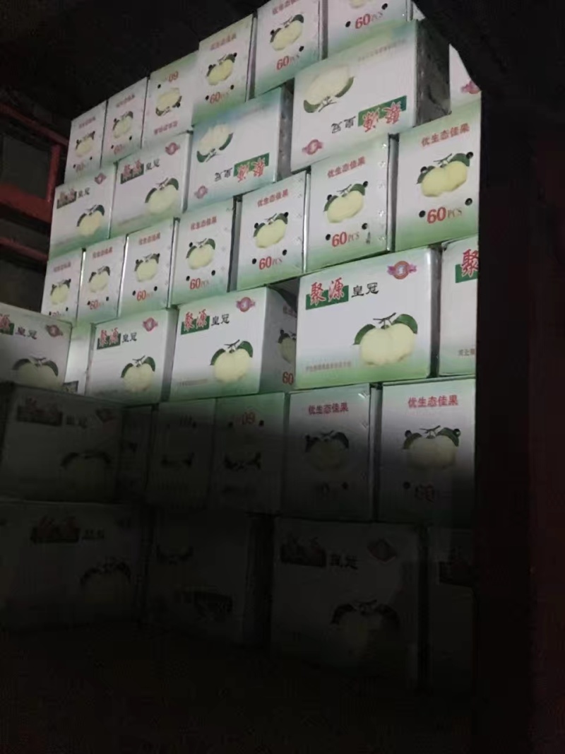 贵妃梨，油瓶梨，香蕉梨，贵妃梨，油瓶梨，香蕉梨