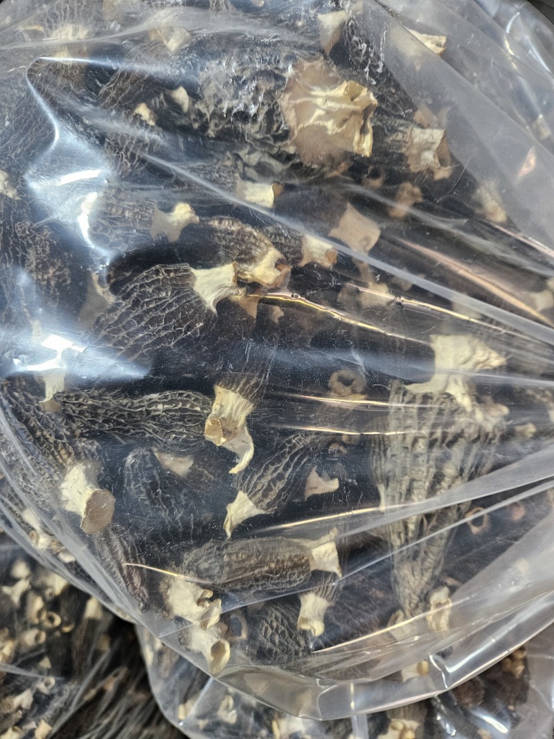 羊肚菌干货干品