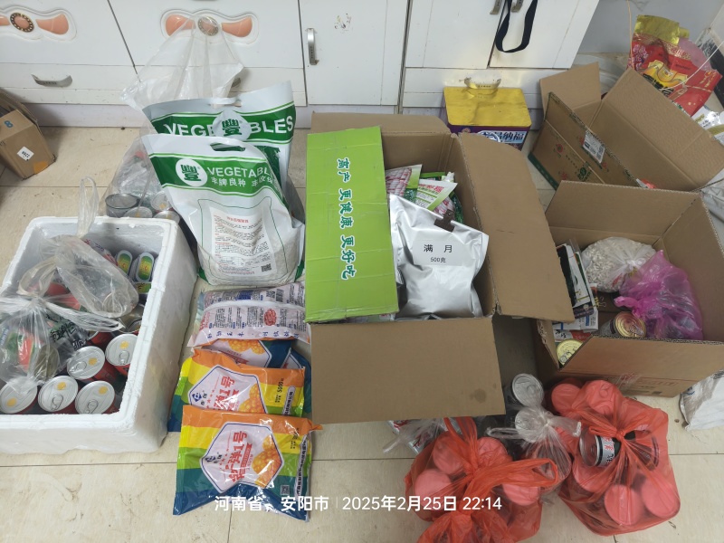 龙卷风西瓜苗红沙龙珍布思王中王嫁接西瓜苗美冠龙