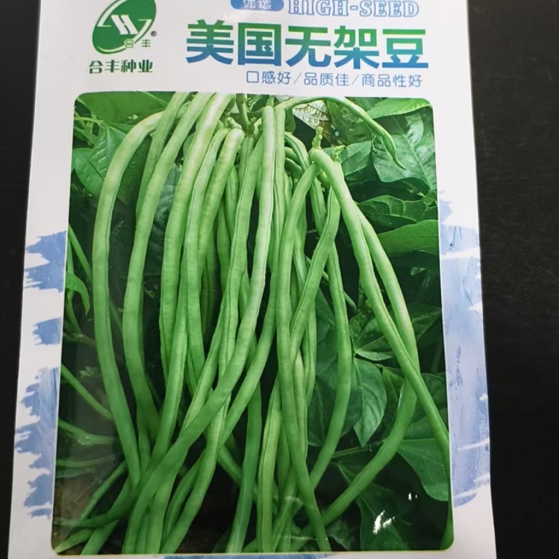 无架豆种子-不用搭架肉厚脆嫩口感佳丰产性好