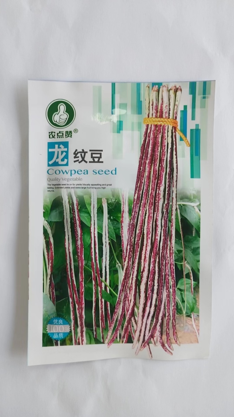 无架豆种子-不用搭架肉厚脆嫩口感佳丰产性好
